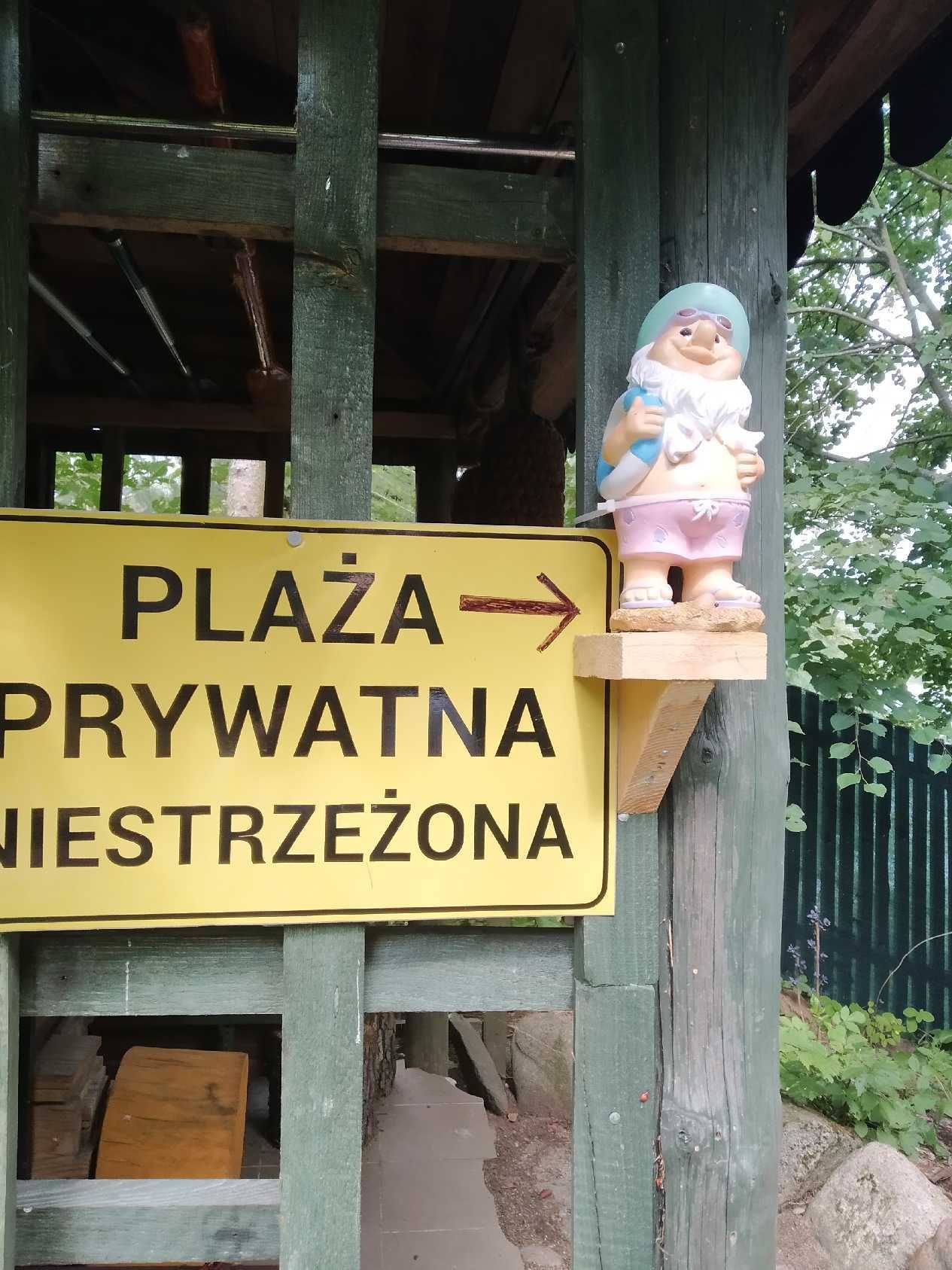 Opis ogłoszenia