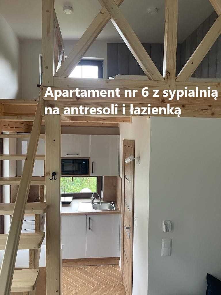 Opis ogłoszenia