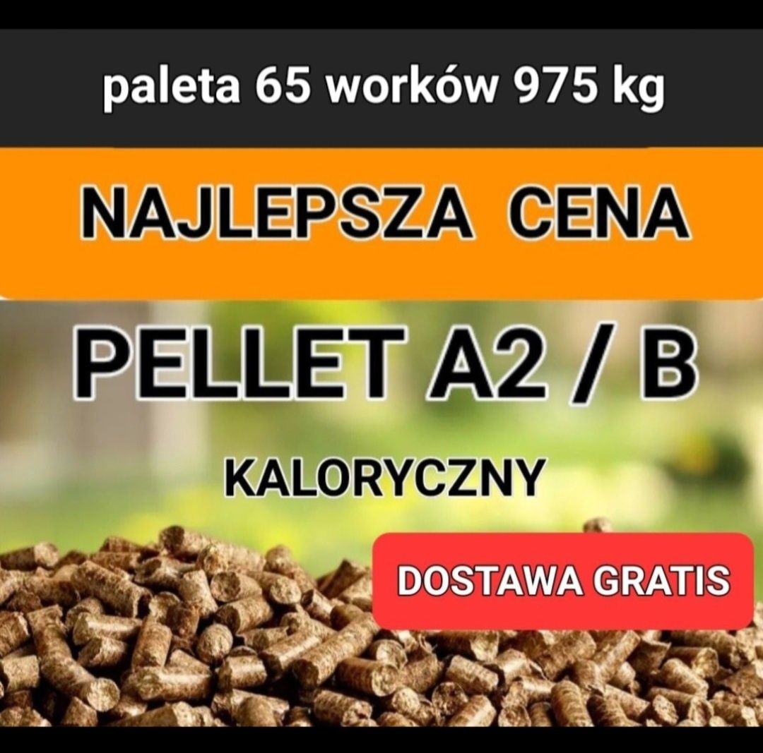 Opis ogłoszenia