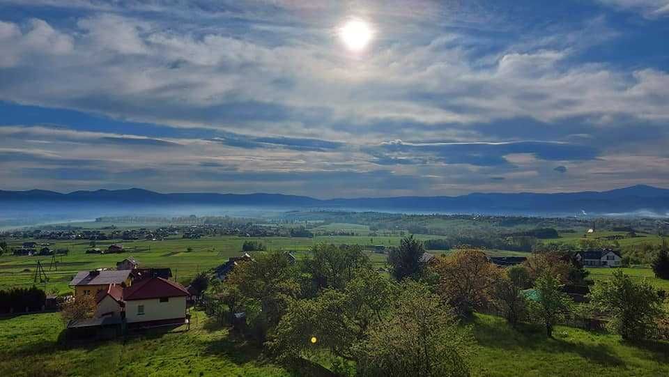 Opis ogłoszenia