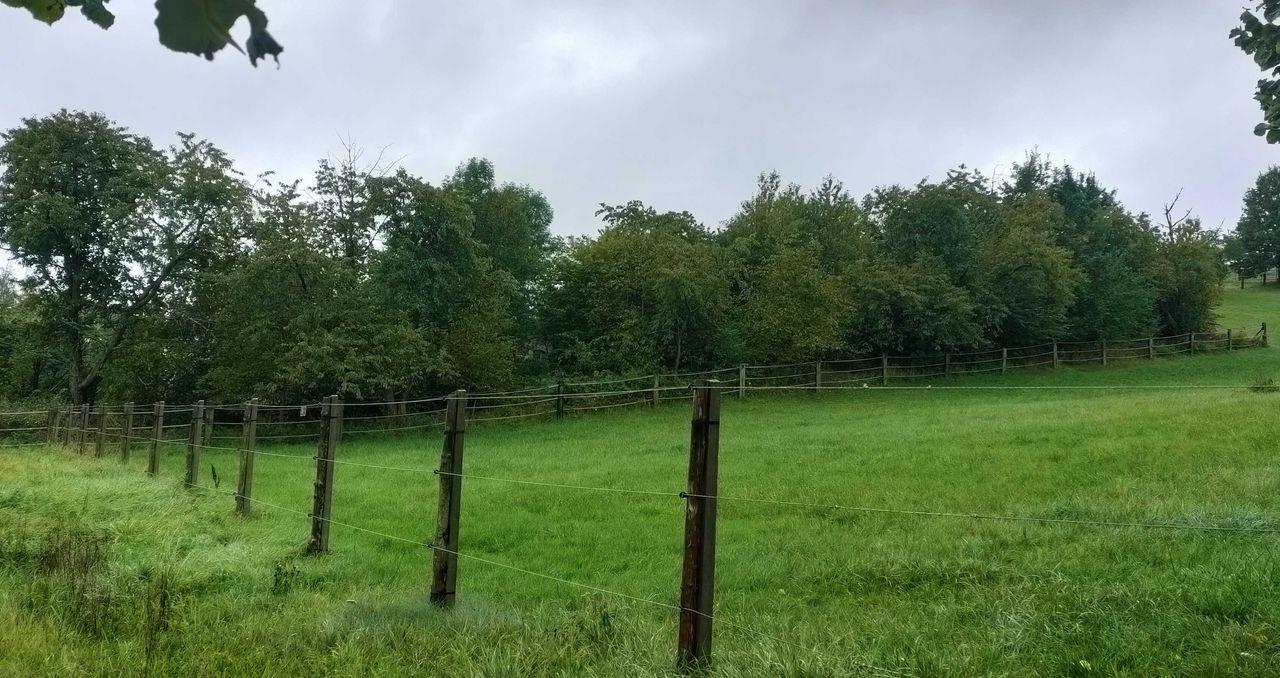 Atrakcyjna działka budowlana w Michałowicach - 19 arów